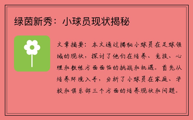 绿茵新秀：小球员现状揭秘